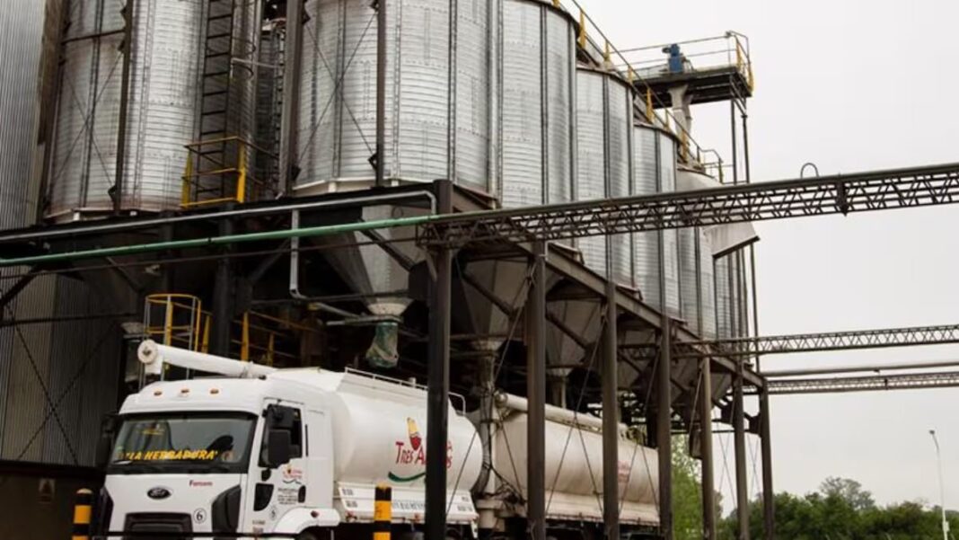 Planta Avex de Granja Tres Arroyos en Río Cuarto