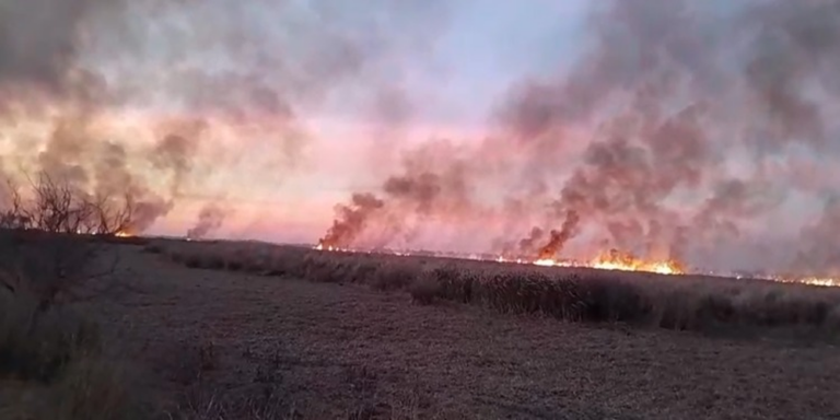 Brigadistas combaten incendios en el Delta del Paraná