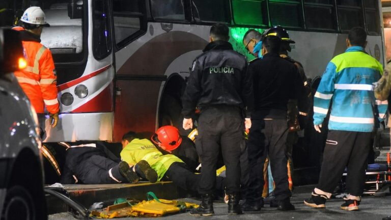 Colectivo accidentado en el skatepark de Mar del Plata