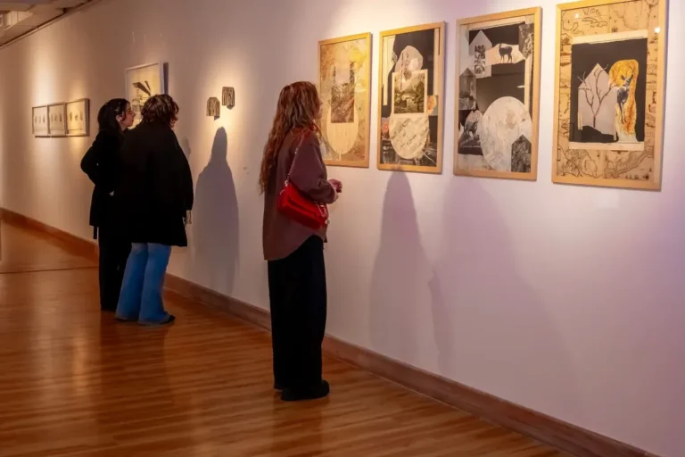 Museo de Arte Contemporáneo Argentino de Junín, sede de la muestra Cartografías para un hábitat sensible