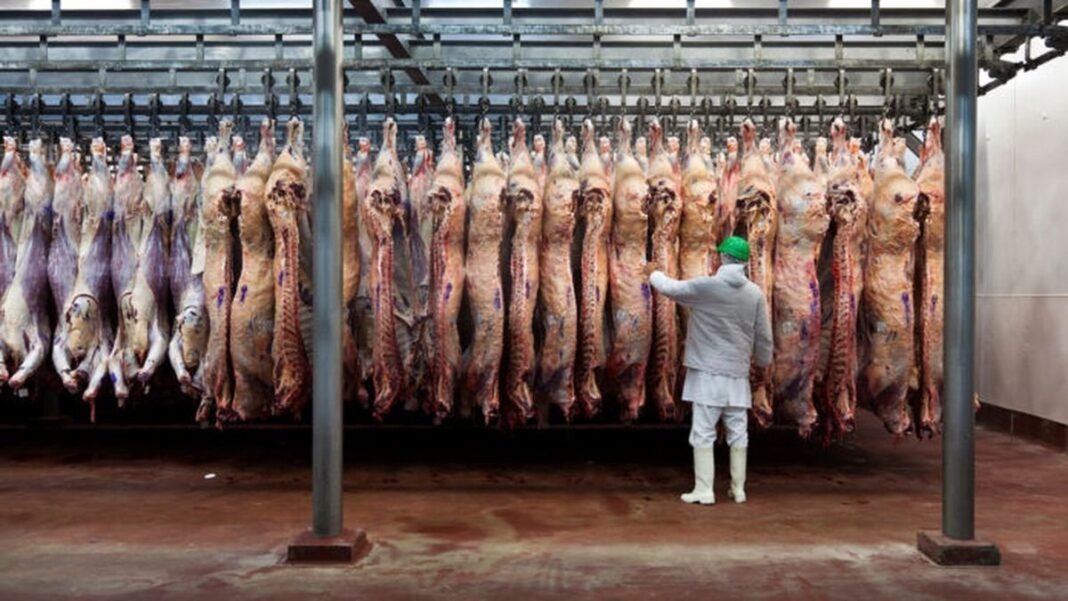 Cupo de carne vacuna importada por Estados Unidos