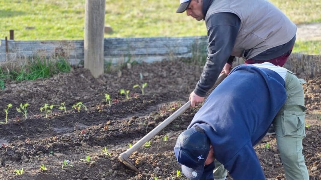 Censo Hortiflorícola 2026 en la provincia de Buenos Aires