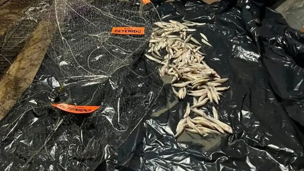 Operativo nocturno contra la pesca ilegal en la laguna de Chascomús