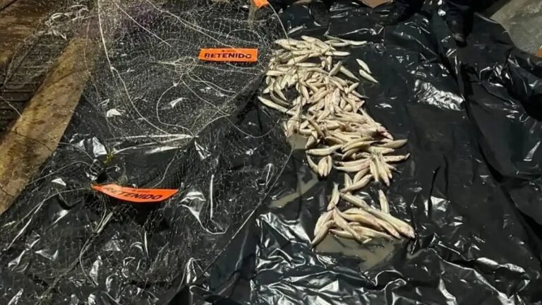 Operativo nocturno contra la pesca ilegal en la laguna de Chascomús