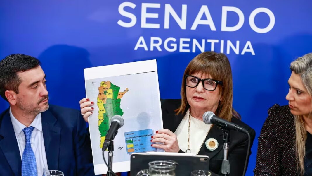 Patricia Bullrich en conferencia de prensa en el Senado