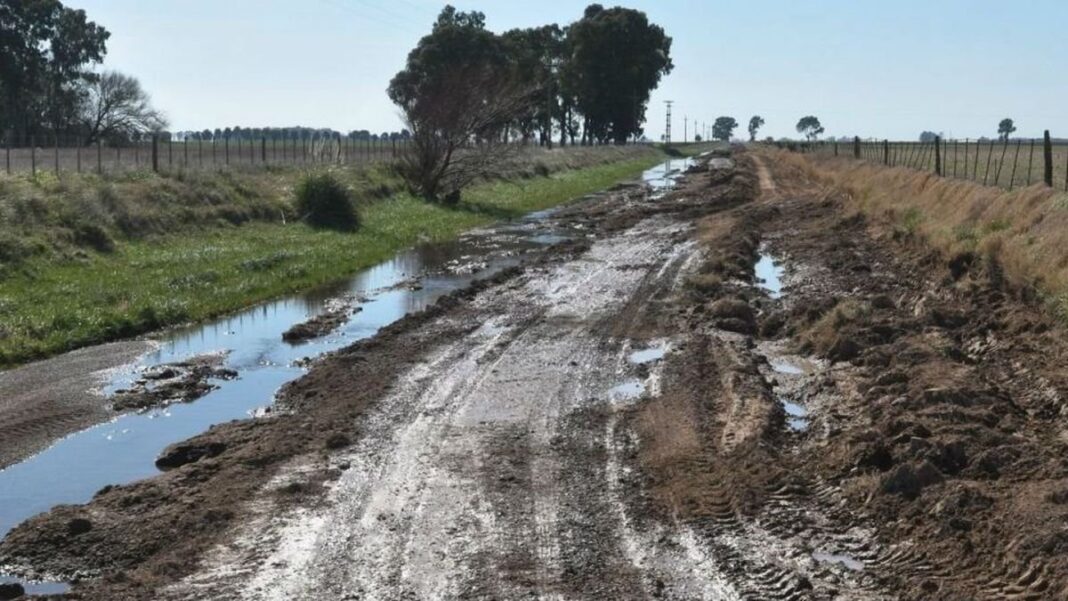 Camino rural en la provincia de Buenos Aires