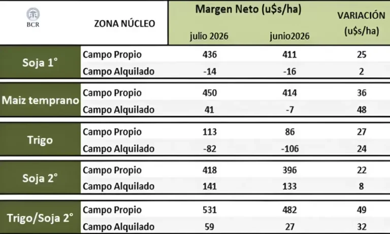Campo agrícola con cultivos de trigo