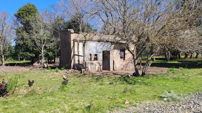 Tiroteo en Paraje Pujol, Pergamino