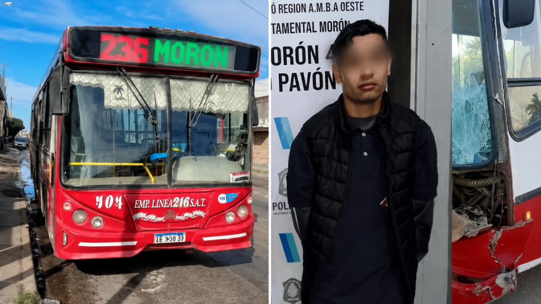 Colectivo de la Línea 236 en la calle