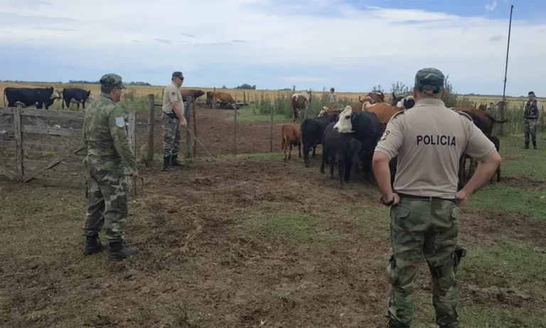 Campo ganadero con bovinos en la provincia de Buenos Aires