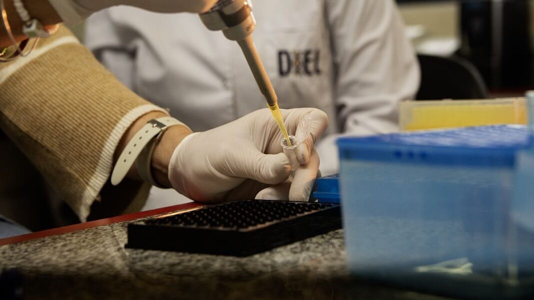 Laboratorio DIEL de la UNLP