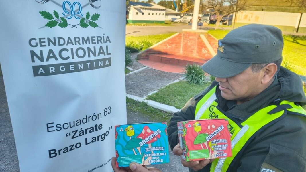 Perro antinarcóticos de Gendarmería durante operativo en Zárate