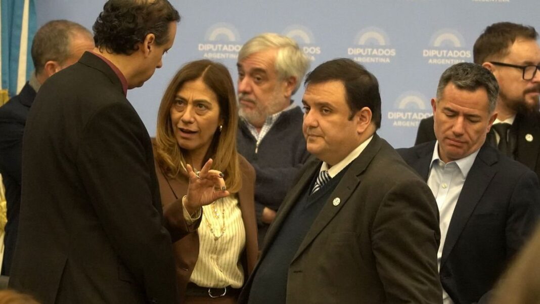 Sesión en la Cámara de Diputados durante el plenario de comisiones de Discapacidad y Presupuesto