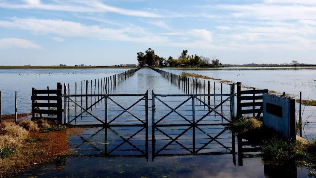 Funcionarios del Ministerio de Ambiente bonaerense presentando la guía ante El Niño