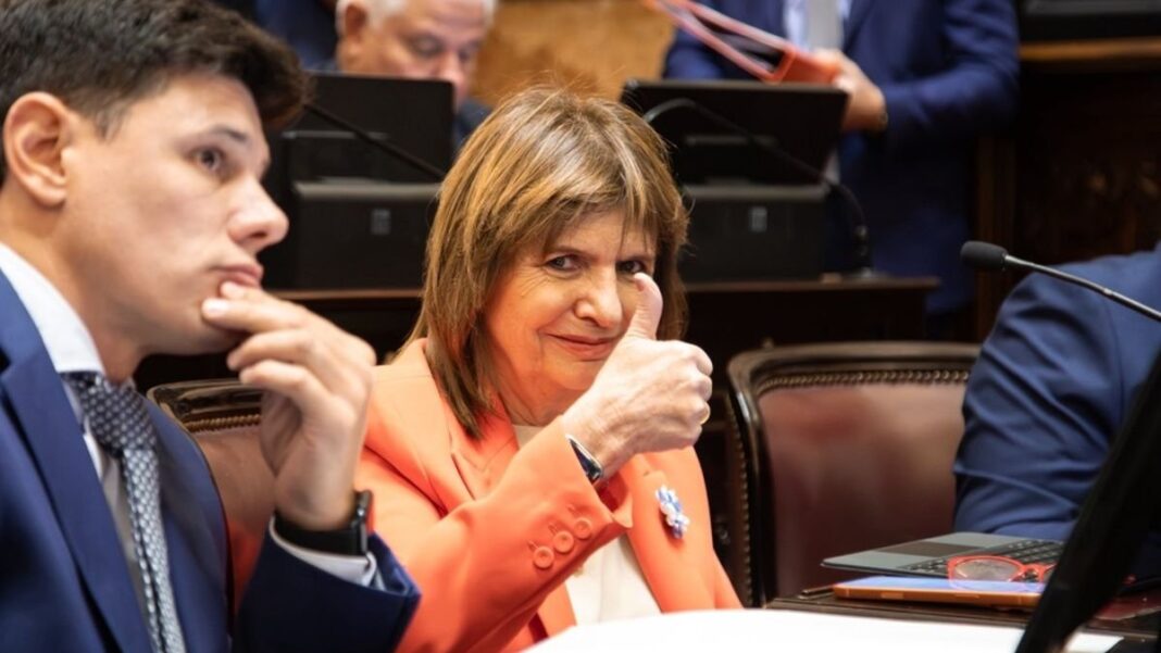 Patricia Bullrich en el Senado