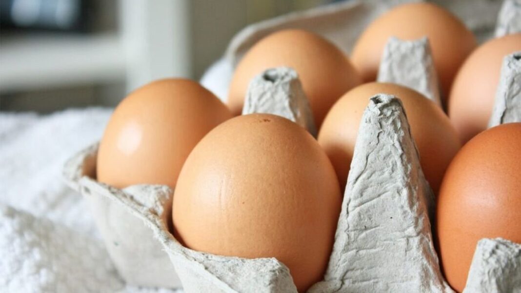 Huevos frescos en una huevera
