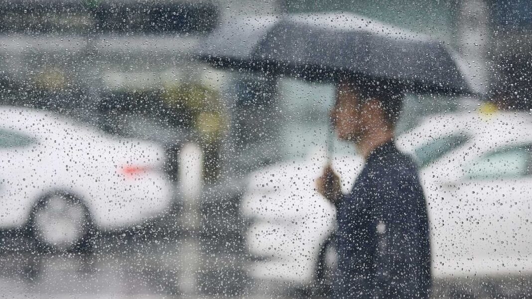 Mapa de Argentina con pronóstico climático trimestral del SMN